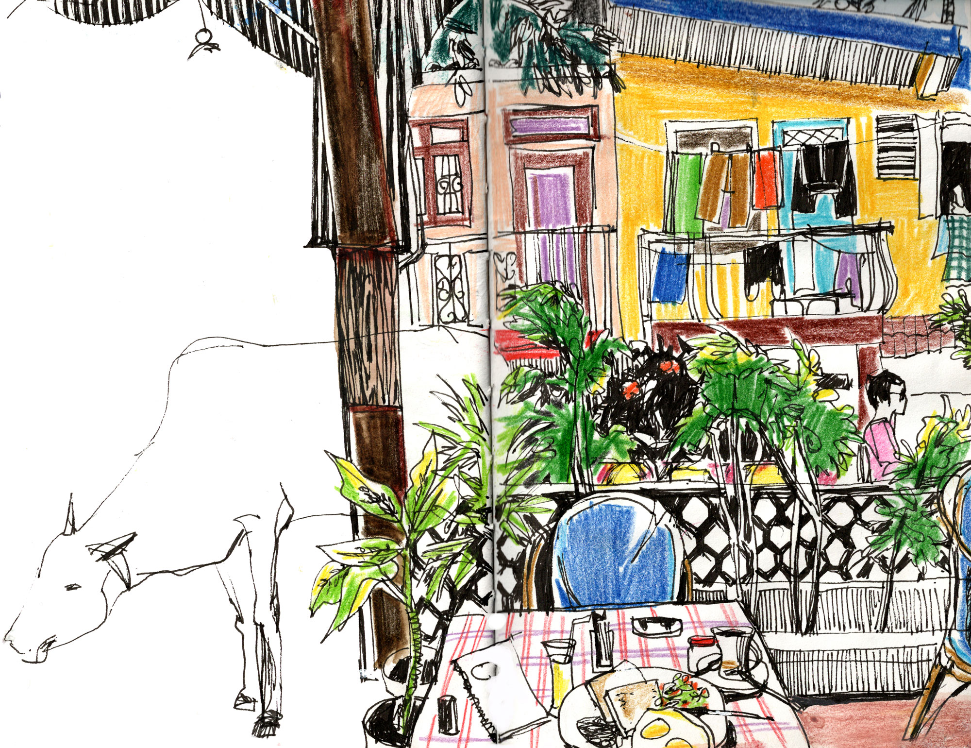 cow_goa_web