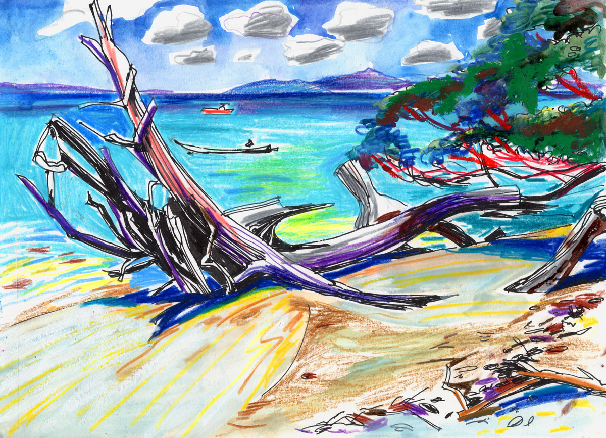 tree_haverlock_Web